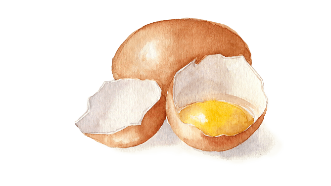 Eier