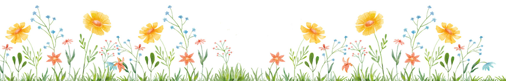 Footer Background Image